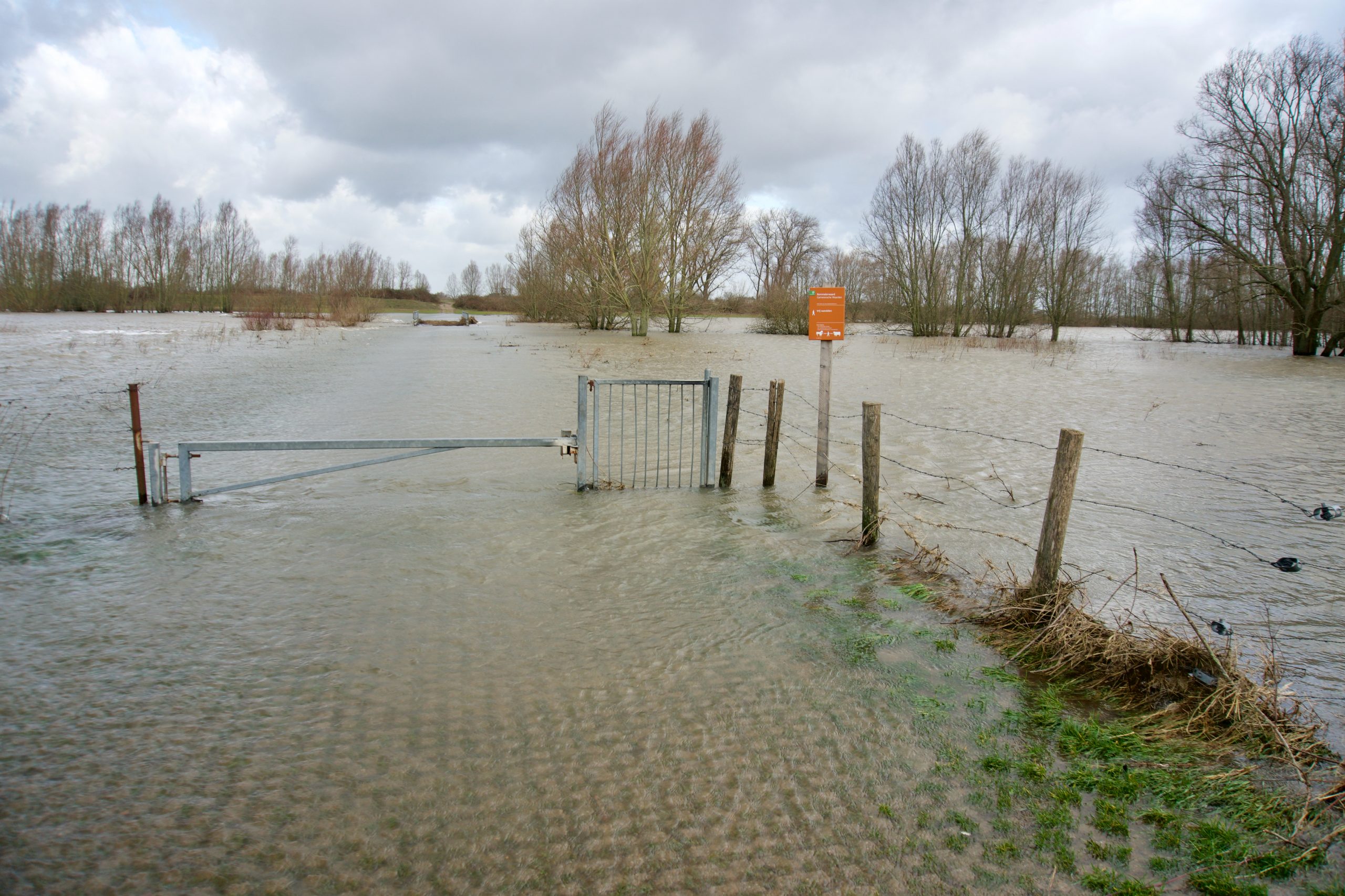 High water at the Waal