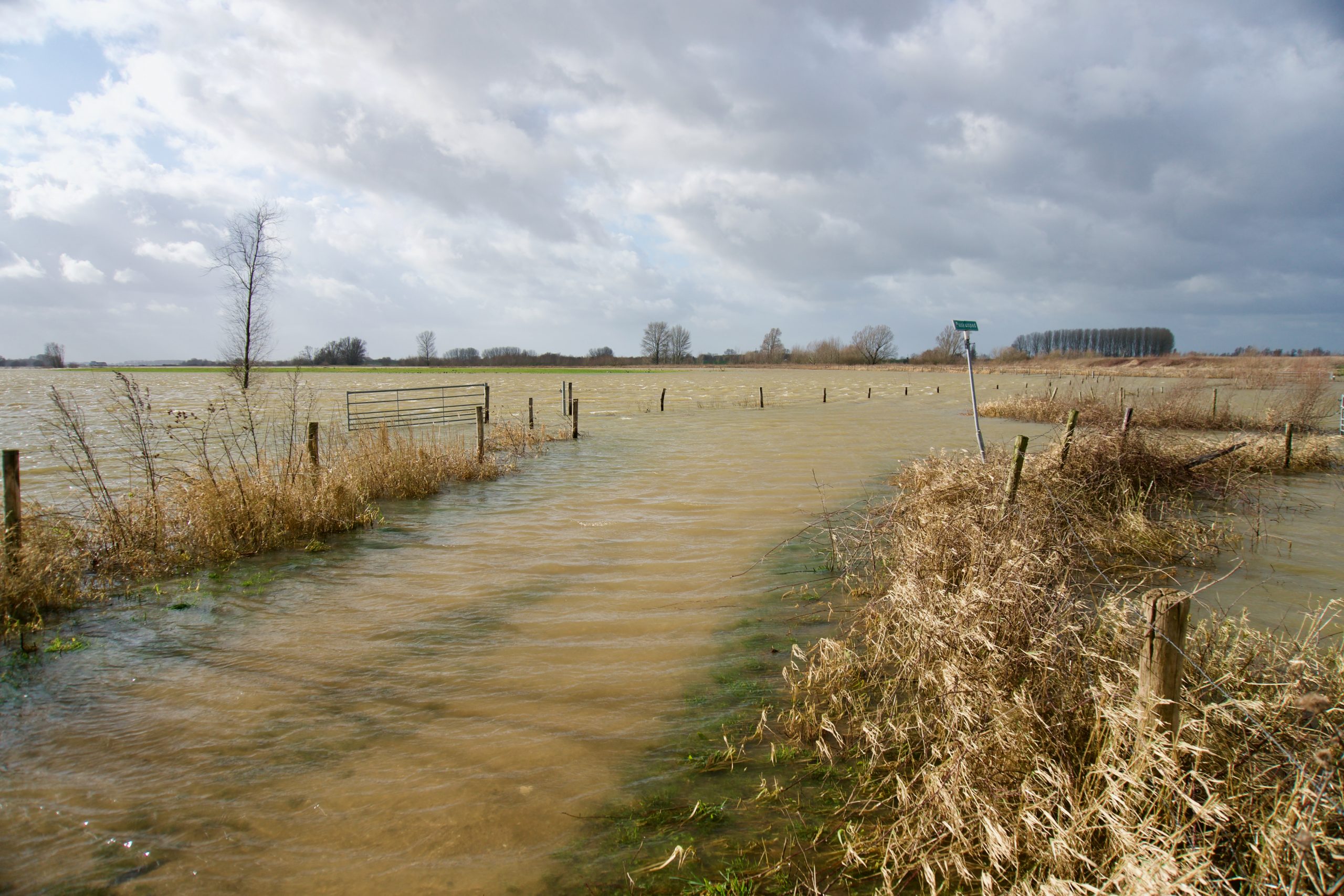 Flood near Maas