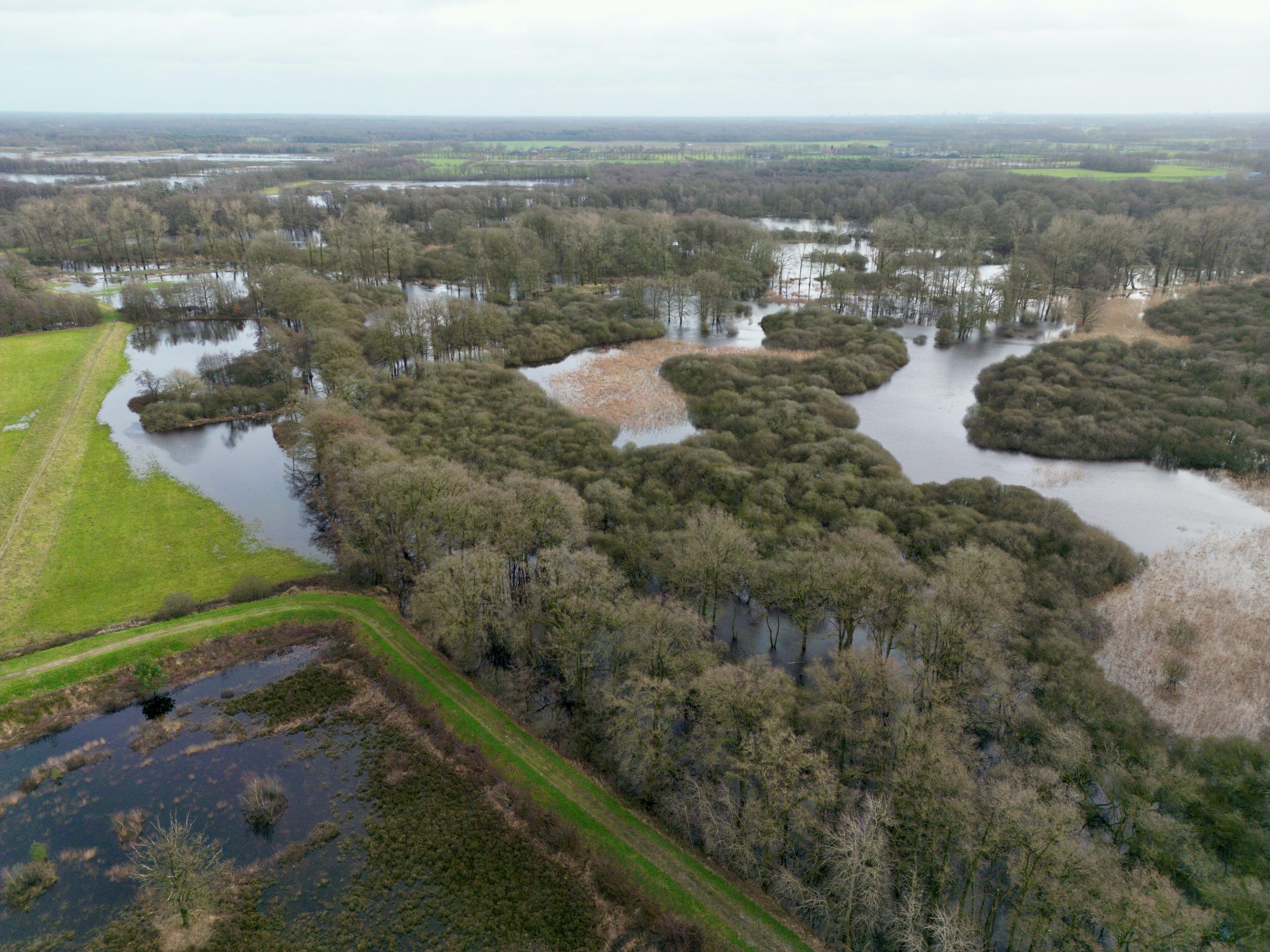 Kampina hoog water 2023 flood